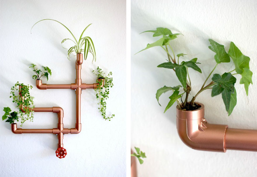 decorar la pared con plantas