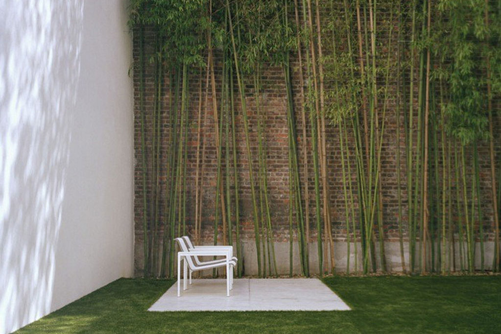 Hábil mudo Prisión Bambú, un material con múltiples aplicaciones decorativas - Noveno Ce