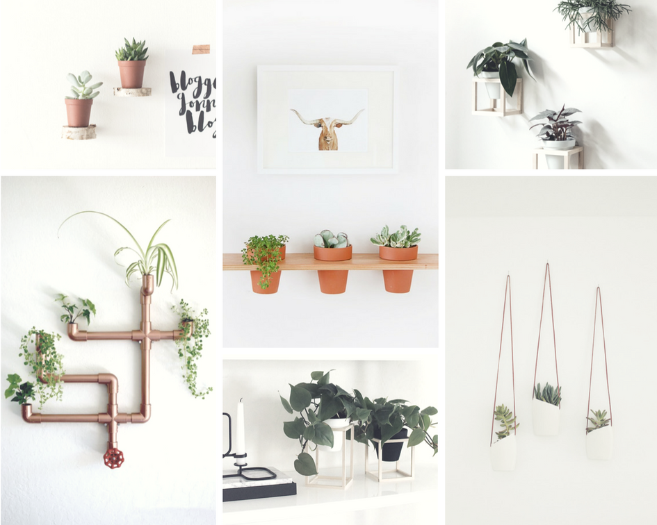 facil de manejar Sede poetas 5 DIY muy originales para decorar la pared con plantas - Noveno Ce